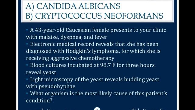 1126: Candida Albicans Or Cryptococcus Neoformans