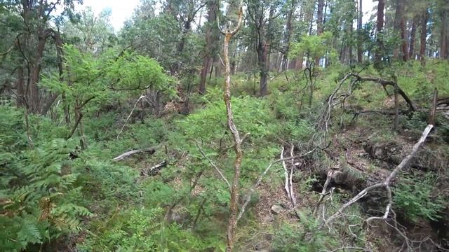 Ebe0b2c2e476668720bd6c662a521d06