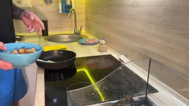 Жульен с белыми грибами