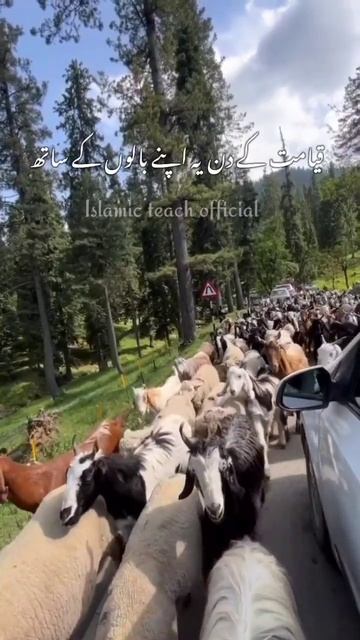 Ibrahim Ki Sunnat Hai 💕#quran #reels #islam #status