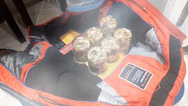 Маринуем Ой грибы, грибы, грибочки! 2 серия! Наконец-то!