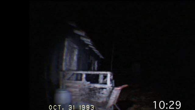 ИЩЕМ ГРИБЫ-Dont Scream