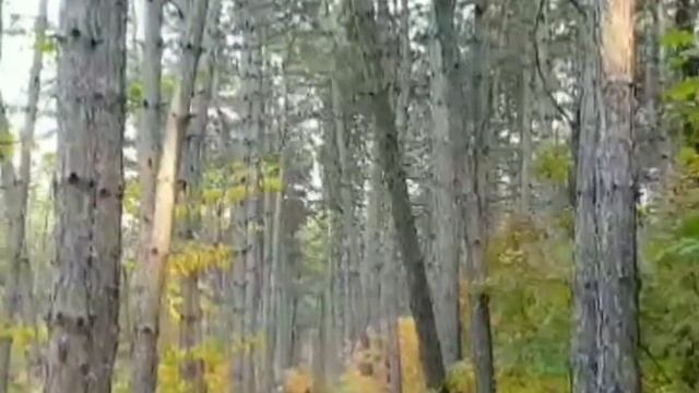 РРДМОО Содружество детей и молодёжи Дона_ПРОдвижение _НАШЕБУДУЩЕЕИНАСТОЯЩЕЕ_МБОУСОШ72