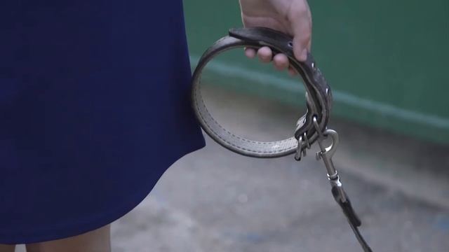 София Ровчакова  - Я тебя жду