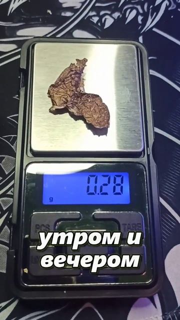 Микродозинг мухомора это сколько? #shorts #мухомор #микродозингмухомора  #микродозинг