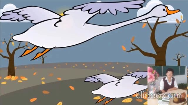 20 ноября 2020 г.