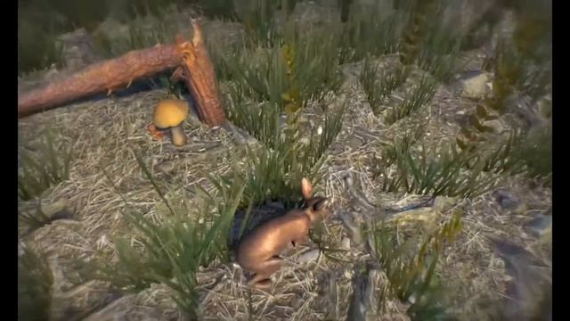 Собираем грибы в лесу - Position #1