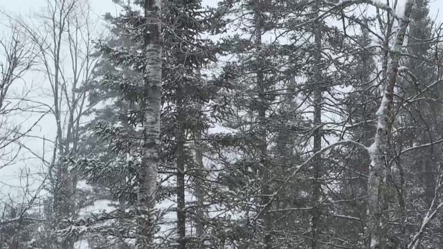 Sustainable Manufacturing | The Blue Economy | Great Lakes Now