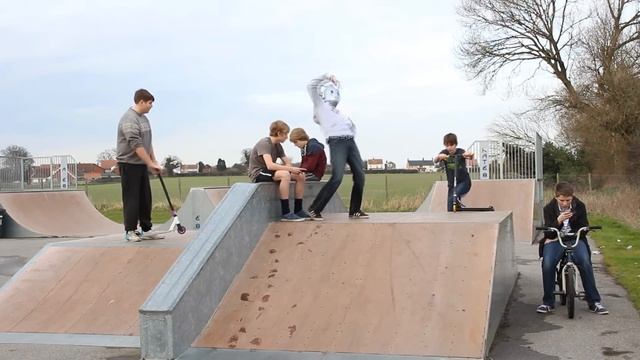 Harlem Shake (Skatepark Edition)