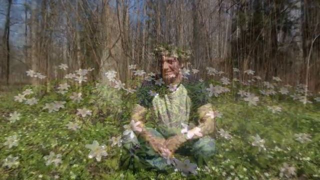 ВЕСЕННЯЯ ЭЛЕГИЯ