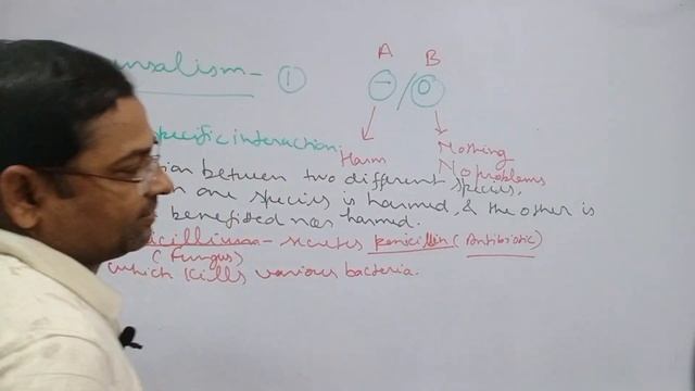 Amensalism @biologywalesir #amensalism #interspecific #penicillium #penicillin #streptomyces