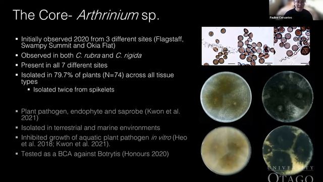 A8dd4cbca528a857730975dd70d96920