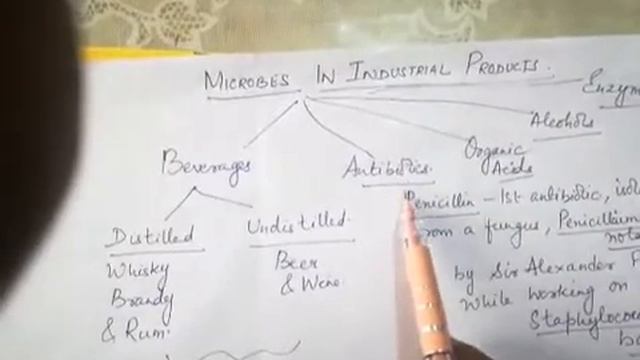 De Paul Class 12 Biology - Chapter 3 MICROBES IN HUMAN WELFARE