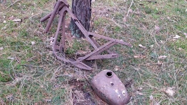 Listopadowe Grzybobranie 11.11 - Grzyby W Okopach I Nietypowe Znalezisko