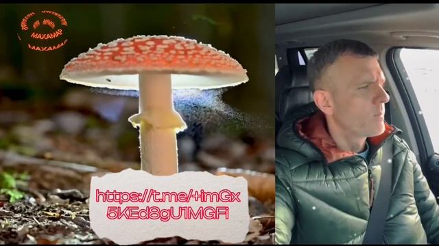 2041282579114fead2116f005b99b821