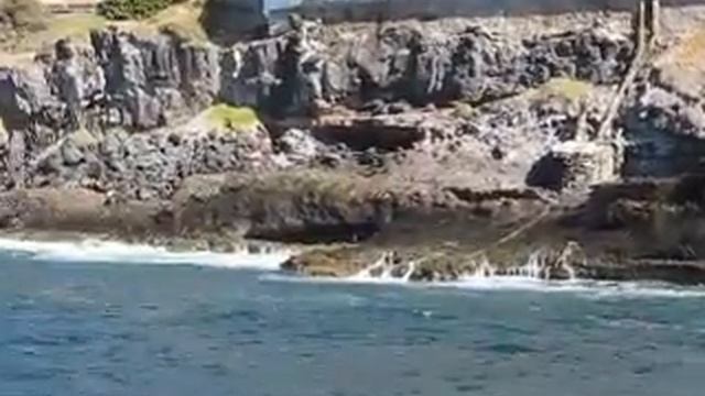 03c16c81b2beaf4110e7532220d9d564