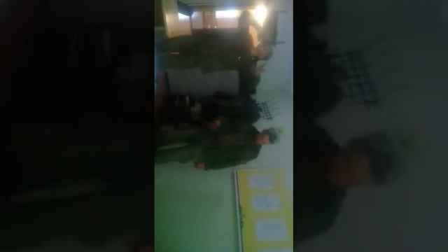 Брат красава армия 2018