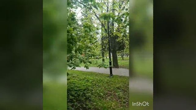 0077a5076b227311c6b147a8a30b23f1