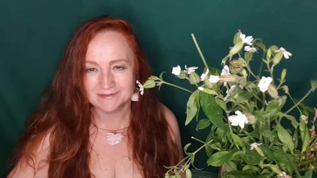 7f6ddd8ad98a2c05ca418f7773b278e9