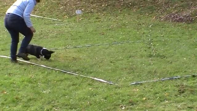 Géraldine & Meryl @ Concours Cavage 2014 Val-et-Châtillon (54)