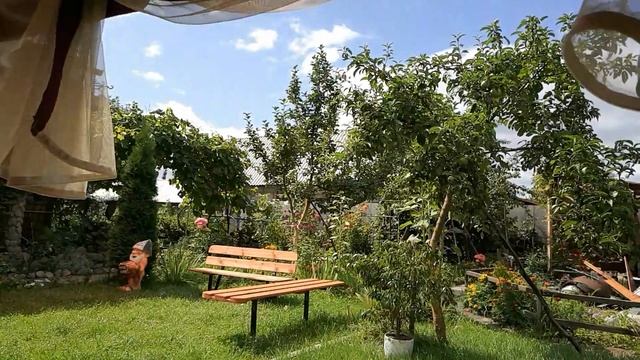 Симбиоз растения и его хозяина!