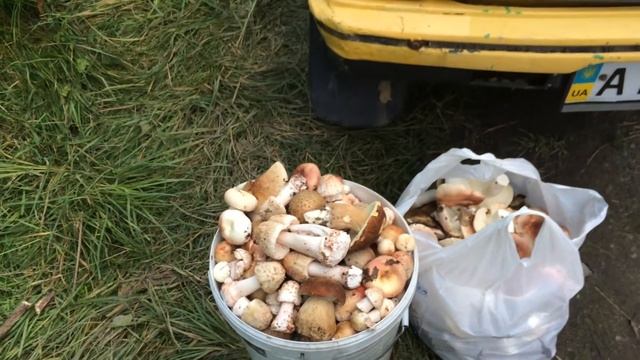 Активный отдых!