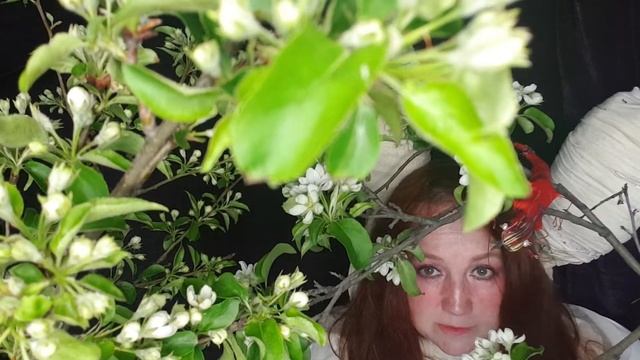 Химера, зомби или киборг (окончание)