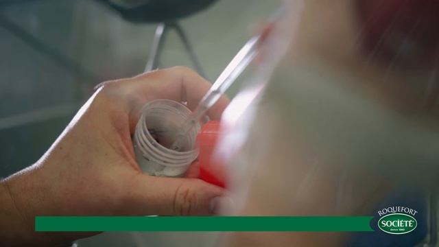 Portrait #3 Chantal, Penicillium Roqueforti Manager For Société