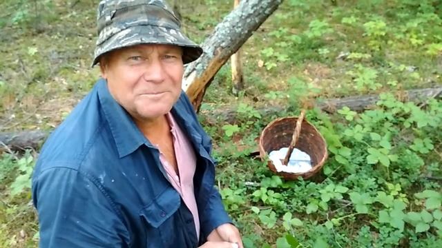 Сезон черники открыт... ммммм