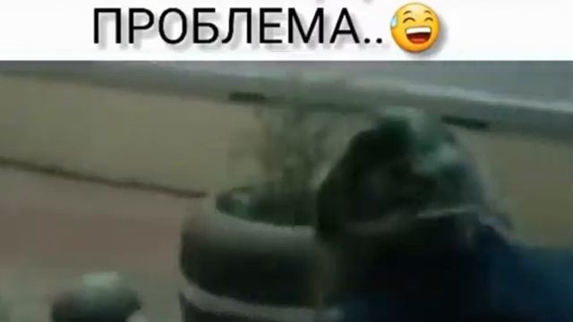 15a936707a7d28ae3fabc66dd8599b20