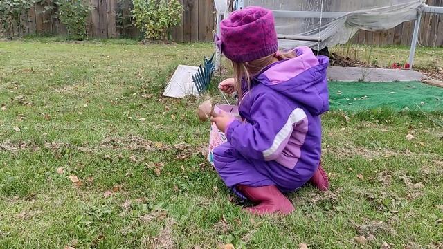 мультфильм 