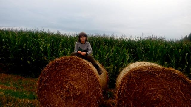 24н. Лебёдушка