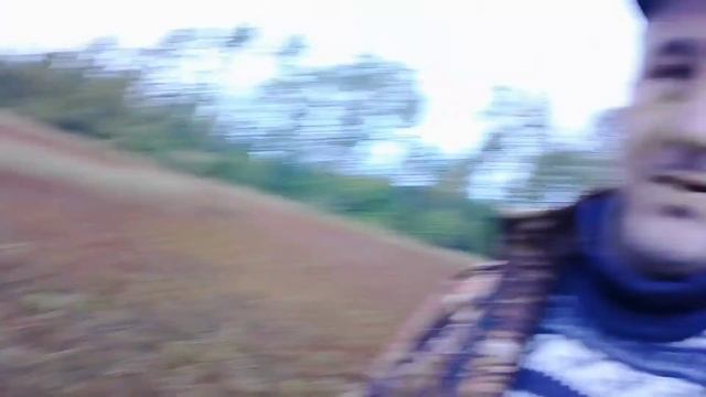 Съездили за клюквой.