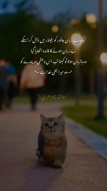 #allah #zulm Hua Byzban Pe #petlover #pets #youtubeshorts #foryou #religion #viralvideo