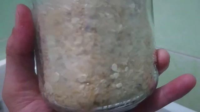 Truffle King Galindoi / 2 Weeks / 2019 Vietgrow