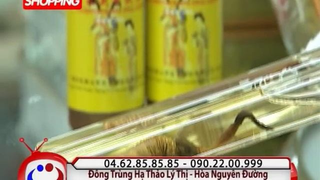 Đông Trùng Hạ Thảo Hòa Nguyên đường