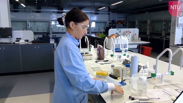 Biofilm Assay In A 96 Well Plate Tutorial