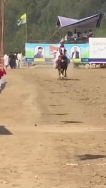 Nazabazi #ahsantv #brand #sultan #bestfriend #horse #poetry