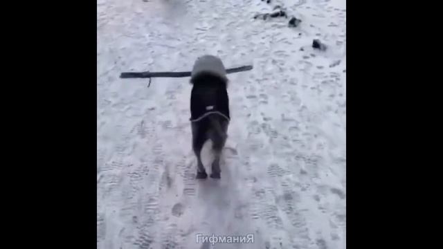 Альфа Бит -Иду унылой походкой (1997)