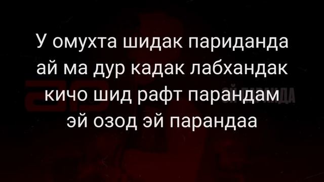 AD AKA DILOVAR - Эй Паранда 2023 (ТЕКСТ)
