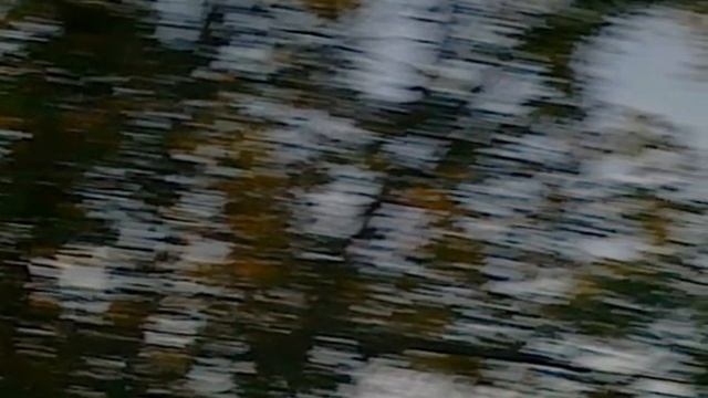 40a6b376d342d9b94e2c5400fcc6f28c