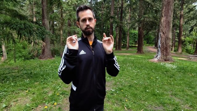 Hyperion Herbs New Lions Mane Extract | Nootropic | Nervous System Growth