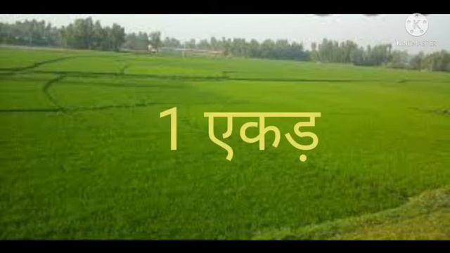 35ca19860f6befa876368a34ce86e445