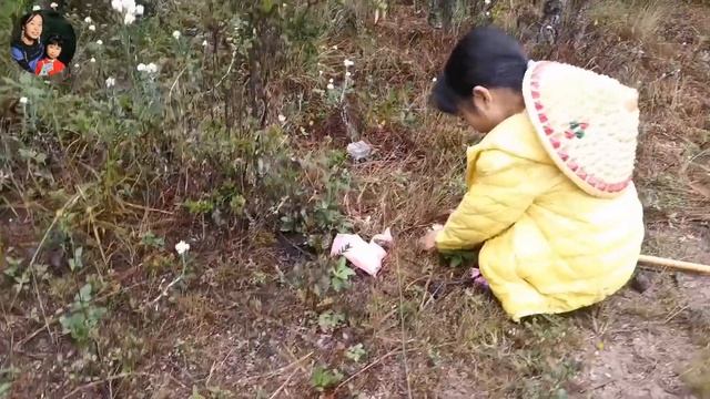 找不到灵芝，就用它解毒！我妈前几天吃蘑菇中毒了，吃个蘑菇米线，解毒更解馋【云南美食】This Bowl Of Rice Noodles Can Cure Wild Mushroom Poisonin