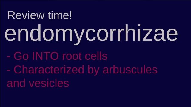 Mycorrhizae And Mycorrhizal Cheaters