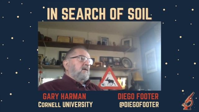 Plants Let Trichoderma Mold Infect Them - WHY??? | In Search Of Soil