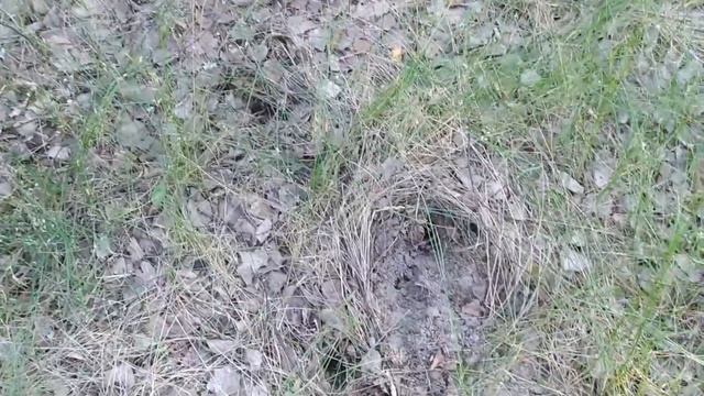 Кантрисайдовка. 7 серия - 