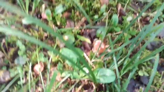 14adfd56f03c5f645893661a7613bb68