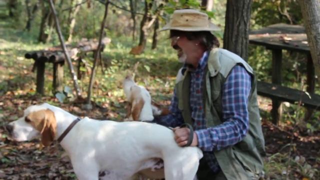 Truffle Hunt In Piemonte