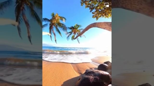 Время поэзии: «Я принимаю Дар Небесный»